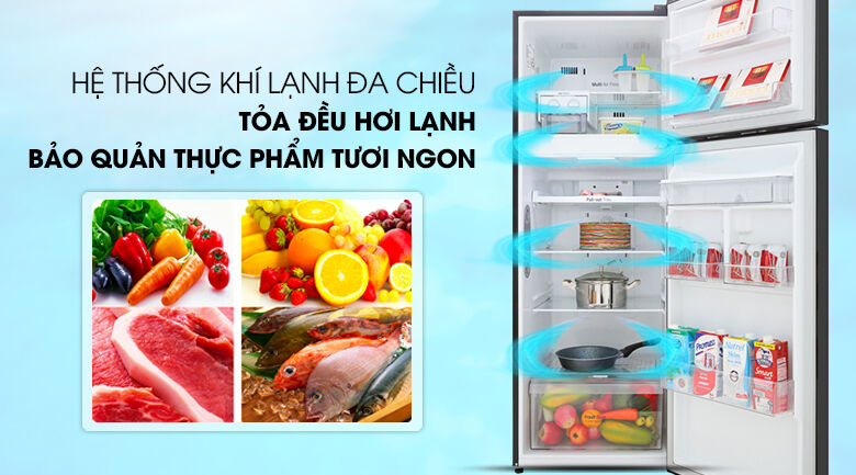 tủ lạnh lg inverter 315 lít gn-d315bl mẫu 2019 - làm lạnh đồng đều cho thực phẩm với hệ thống khí lạnh đa chiều