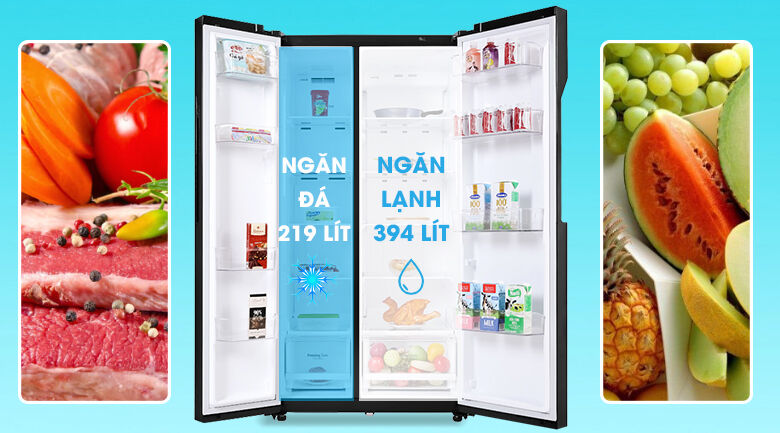 tủ lạnh lg inverter 613 lít gr-b247wb - dung tích