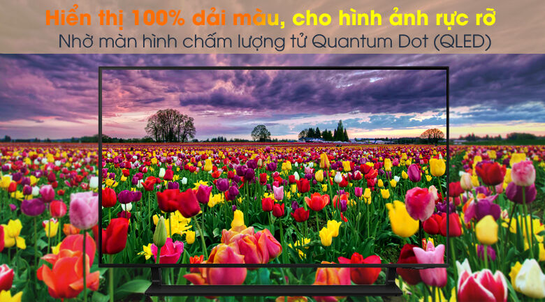 smart tivi qled 4k 50 inch samsung qa50q65a - quantum dot