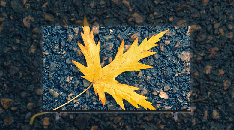 công nghệ hdr10 pro và hlg - smart tivi nanocell lg 4k 55 inch 55nano75tpa