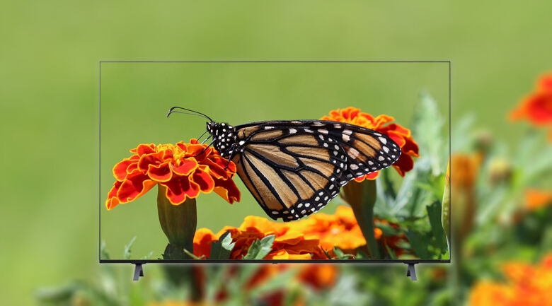 công nghệ image enhancing - smart tivi nanocell lg 4k 55 inch 55nano75tpa