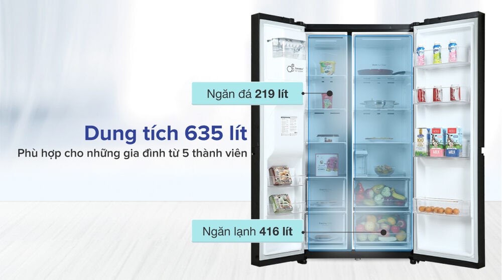 tủ lạnh lg inverter 635 lít gr-d257wb - dung tích