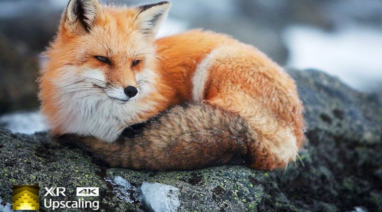 4k upscaling - android tivi sony 4k 75 inch xr-75x90j