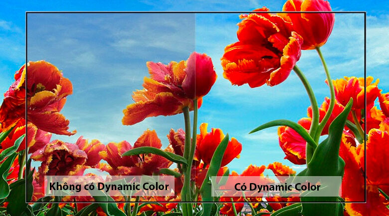 smart tivi led lg 32 inch 32lm636bptb dynamic color