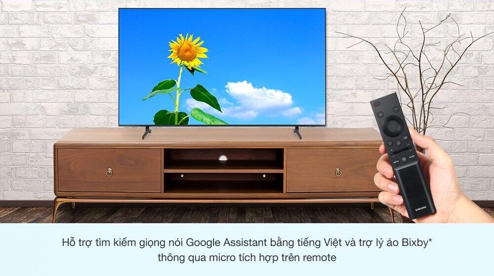 remote