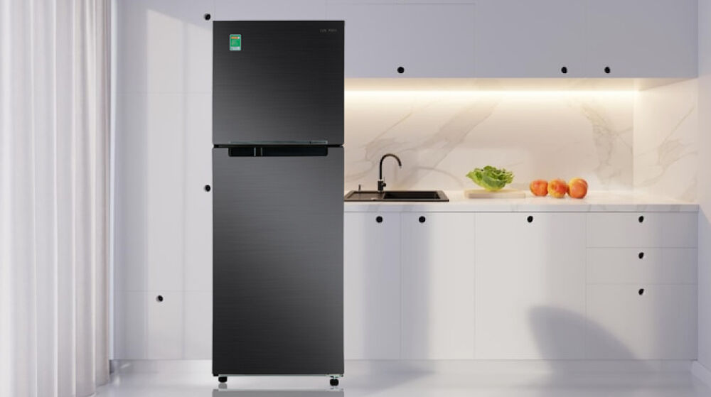 tủ lạnh samsung inverter 302 lít rt29k503jb1/sv - tổng quan thiết kế