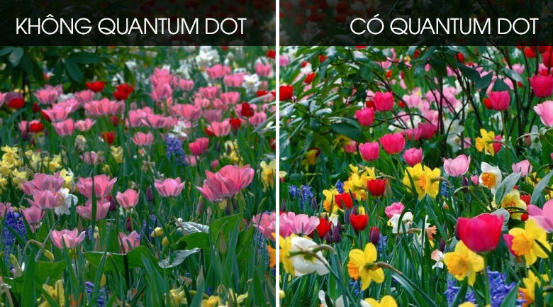 qled-smart tivi qled samsung 4k 65 inch qa65q70t