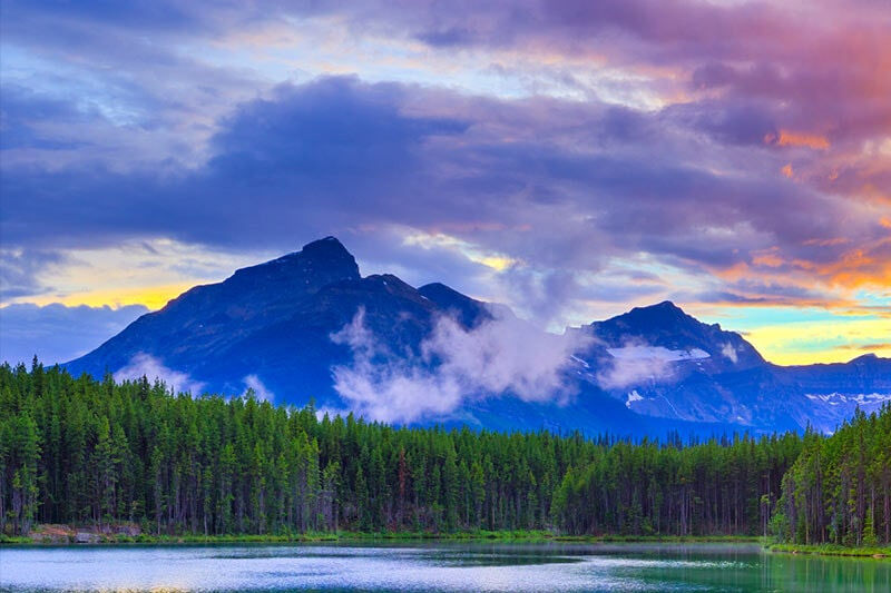 smart tivi lg 43 inch 43lm5750ptc fhd thinq ai