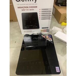 Bếp Từ Đơn Genny GN 312TD