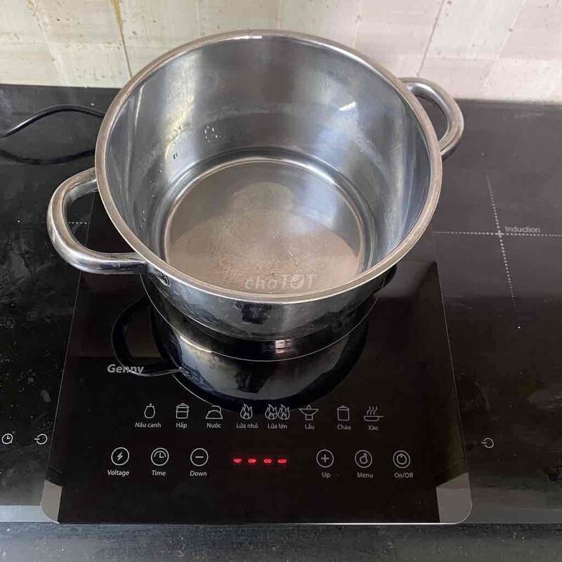 Bếp Từ Đơn Genny GN 312TD