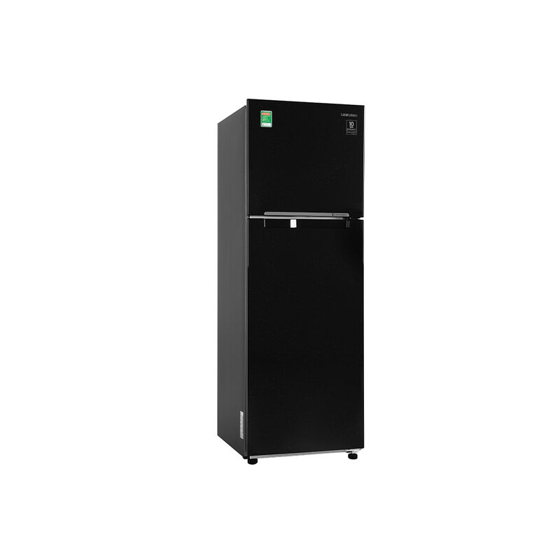 Tủ lạnh Samsung Inverter 256 lít RT25M4032BU